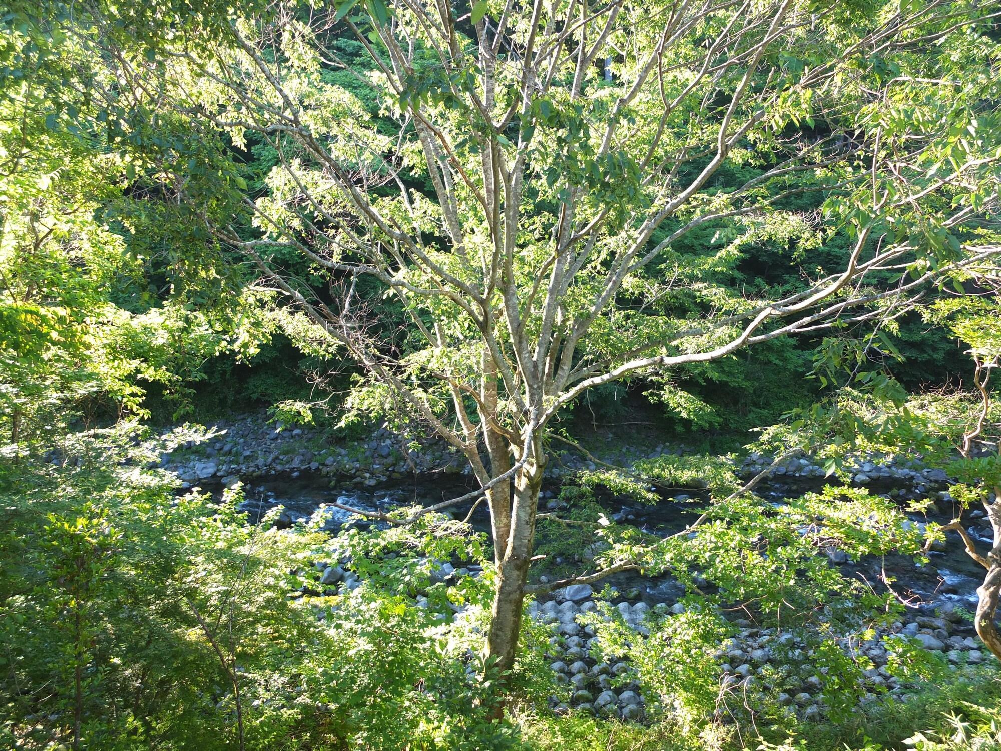 Hotel Annex Turtle Hotori-An Nikko Exterior foto