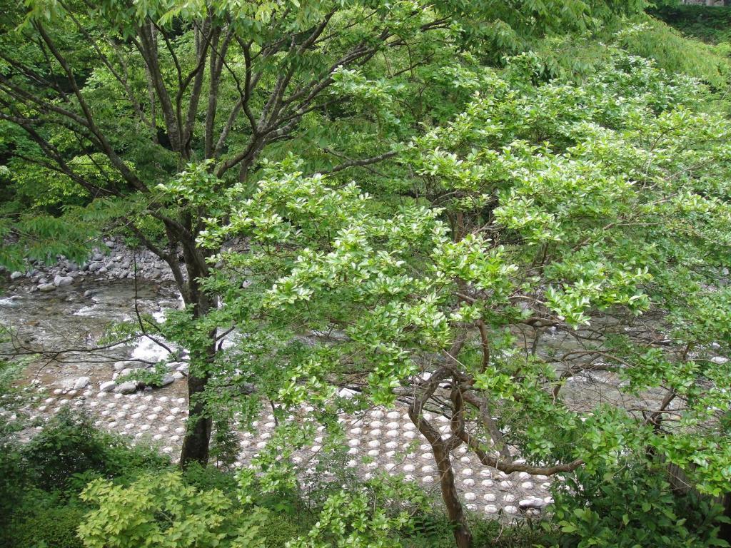 Hotel Annex Turtle Hotori-An Nikko Exterior foto